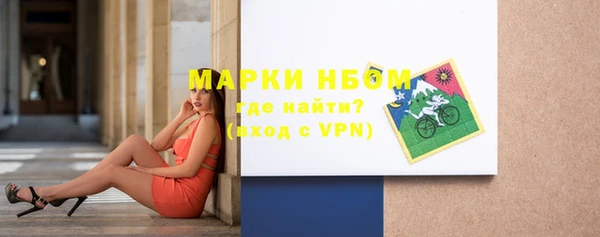 прущие грибы Саяногорск