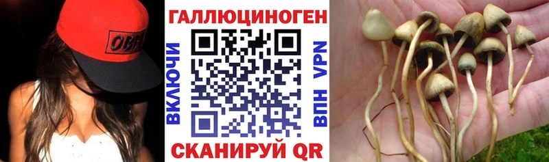 как найти наркотики  Спас-Деменск  дарк нет как зайти  Псилоцибиновые грибы Magic Shrooms 